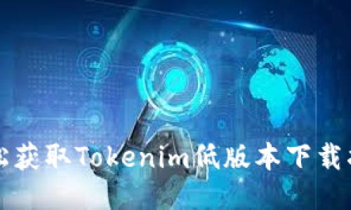 轻松获取Tokenim低版本下载指南
