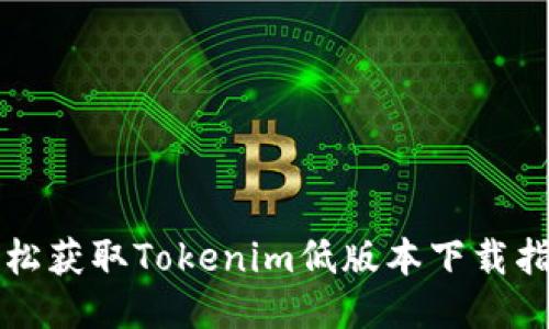 轻松获取Tokenim低版本下载指南