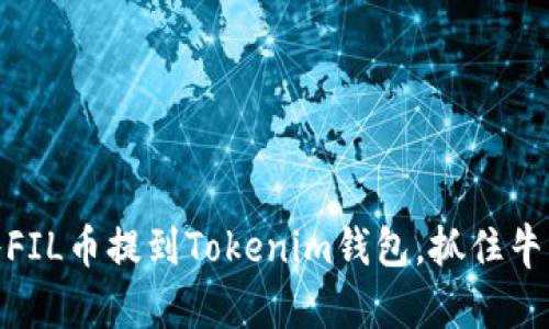 如何将FIL币提到Tokenim钱包，抓住牛市机会