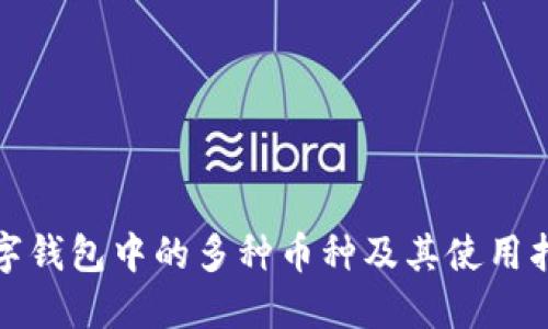 数字钱包中的多种币种及其使用指南
