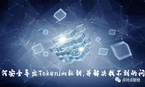 如何安全导出Tokenim私钥，并解决找不到的问题