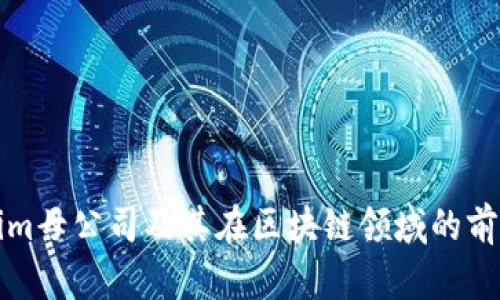 Tokenim母公司及其在区块链领域的前景探索