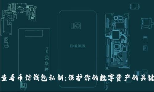 如何查看币信钱包私钥：保护你的数字资产的关键指南