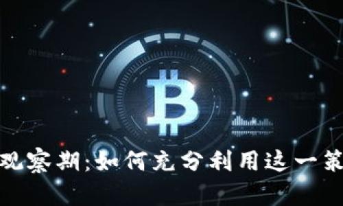 探秘Token Tokenim钱包观察期：如何充分利用这一策略提升您的数字资产安全