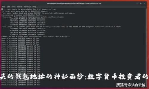 揭开M开头的钱包地址的神秘面纱：数字货币投资者的必知技巧