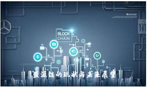 盛源链的现状与未来展望