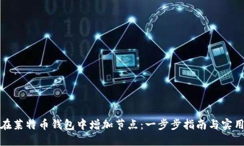 如何在莱特币钱包中增加节点：一步步指南与实用技巧