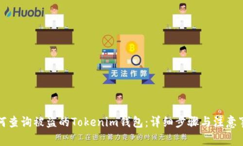 如何查询被盗的Tokenim钱包：详细步骤与注意事项