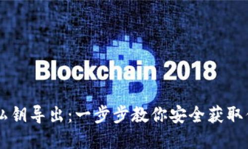 Trezor钱包私钥导出：一步步教你安全获取你的数字资产