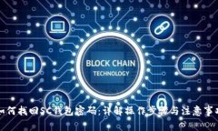 如何找回SC钱包密码：详解操作步骤与注意事项