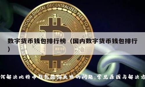 如何解决比特币钱包验证失败的问题：常见原因与解决方案