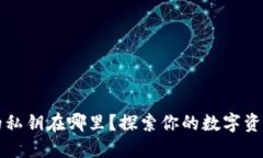 手机钱包的私钥在哪里？探索你的数字资产安全