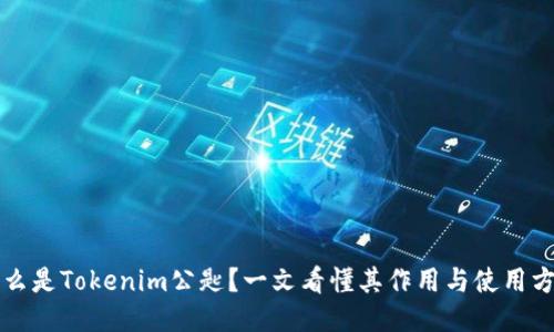 什么是Tokenim公匙？一文看懂其作用与使用方法