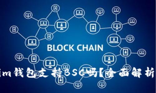Tokenim钱包支持BSC吗？全面解析与指南
