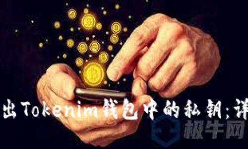 如何导出Tokenim钱包中的私钥：详细指南