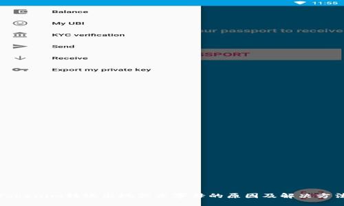 Tokenim转账出现英文字母的原因及解决方法