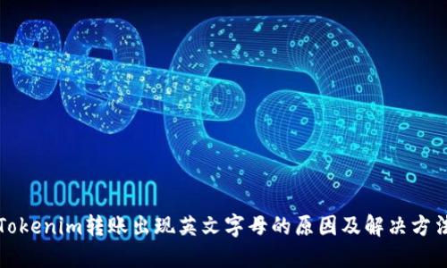 Tokenim转账出现英文字母的原因及解决方法