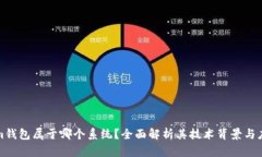 Tokenim钱包属于哪个系统？全面解析其技术背景与