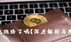 Tokenim钱包跑路了吗？深度解析与用户应对措施