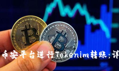 如何在币安平台进行Tokenim转账：详细指南