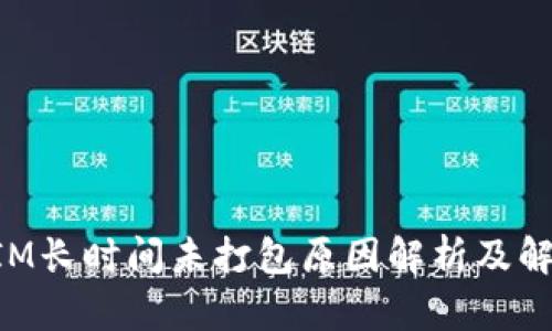 TokenIM长时间未打包原因解析及解决方案
